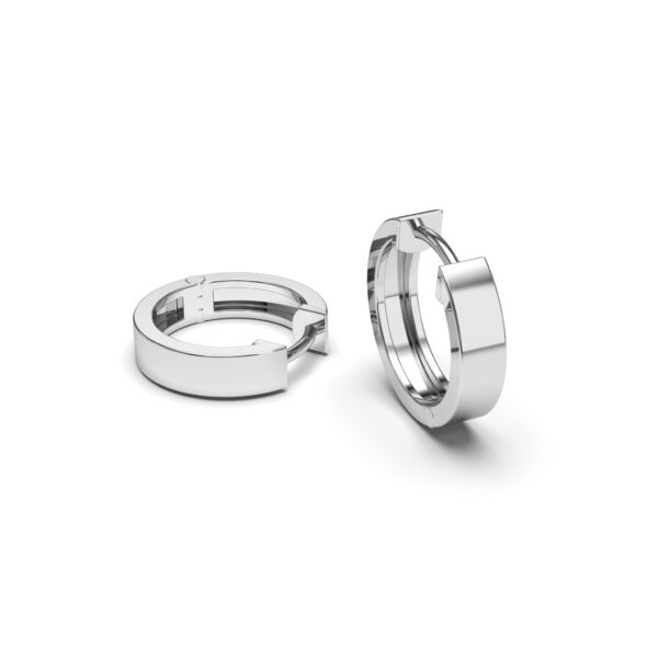 Rounded Hoops Earrings